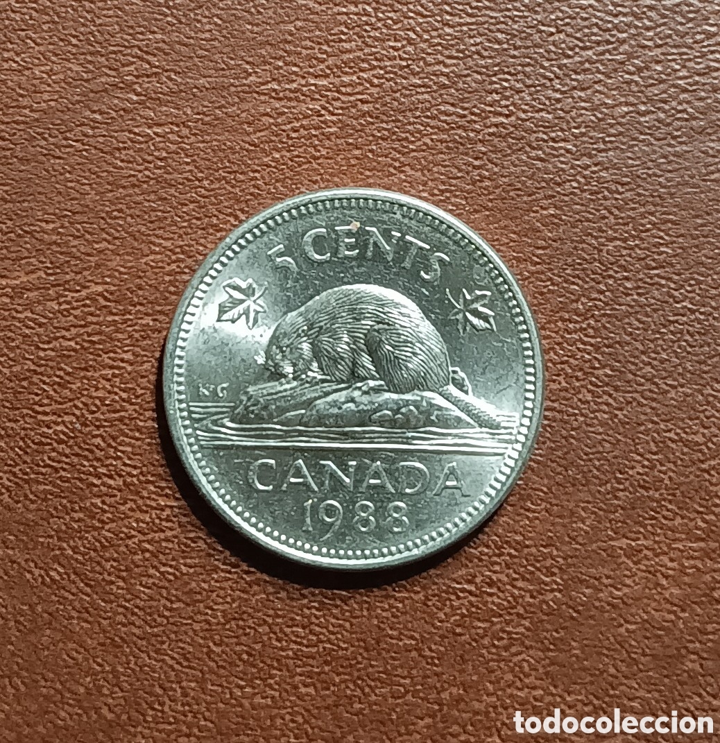 Monedas antiguas de Am&eacute;rica: 5 CENTAVOS 1988 - CANADA - Foto 1