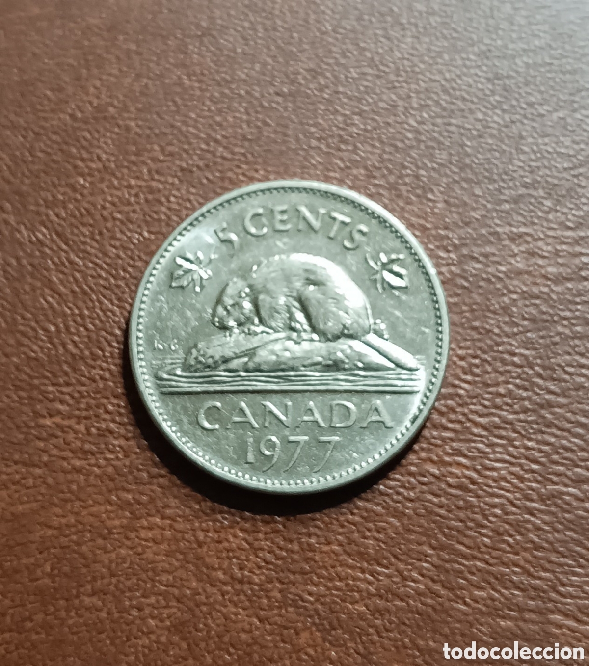 Monedas antiguas de Am&eacute;rica: 5 CENTAVOS 1977 - CANADA - Foto 1