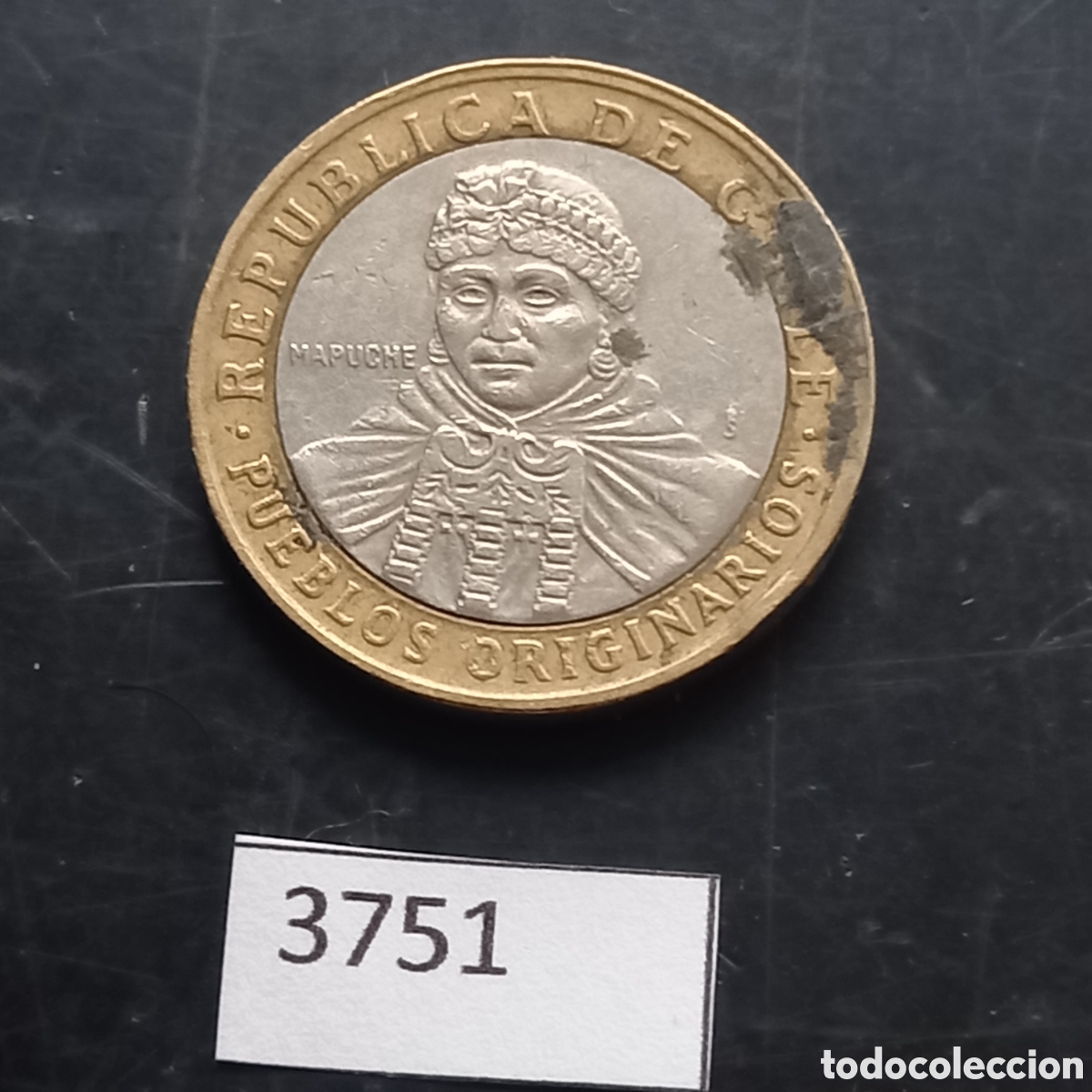Monedas antiguas de Am&eacute;rica: Chile 100 pesos 2008 - Foto 1