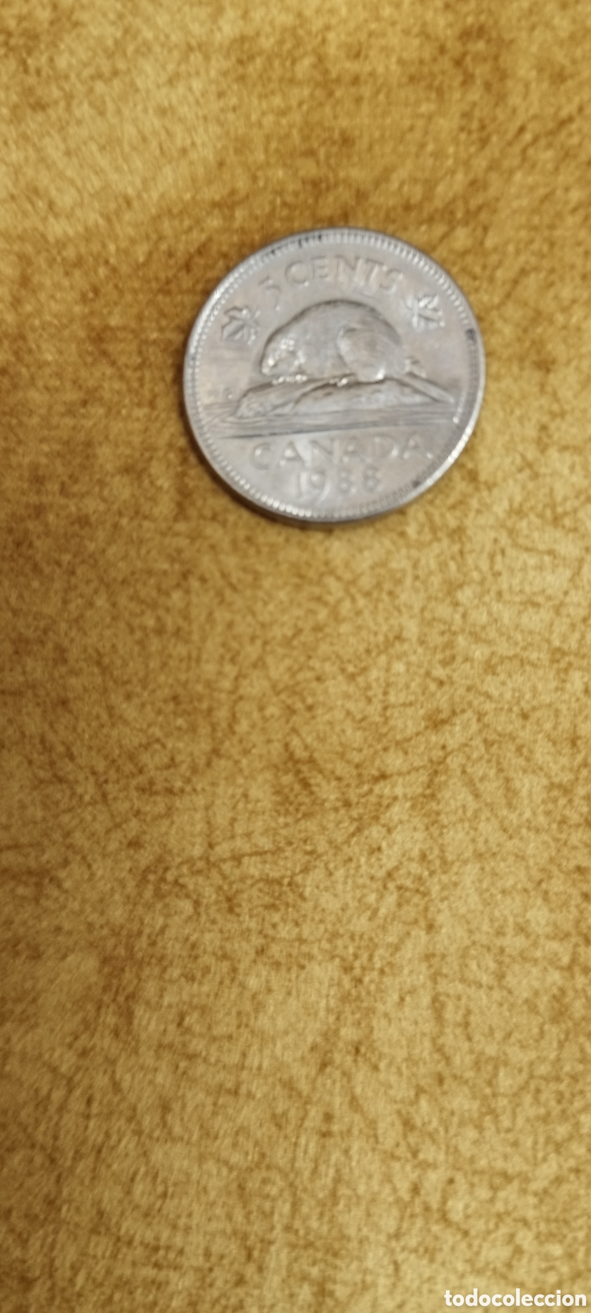 Moedas antigas da Am&eacute;rica: Moneda Canada 5 centavos 1986