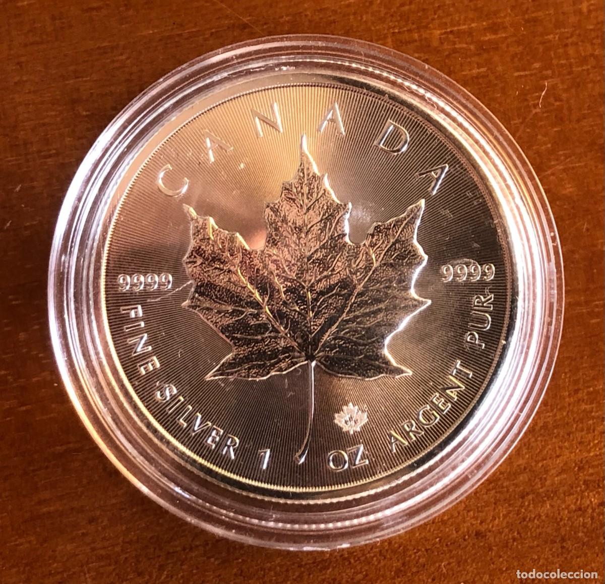Monedas antiguas de Am&eacute;rica: MONEDA PLATA 1 Oz 9999 MAPLE LEAF 2019 - Foto 3