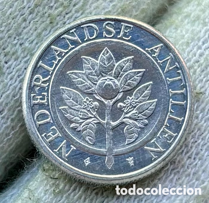 Moedas antigas da Am&eacute;rica: Moneda ANTILLAS HOLANDESAS 5 Cents 1993 SC