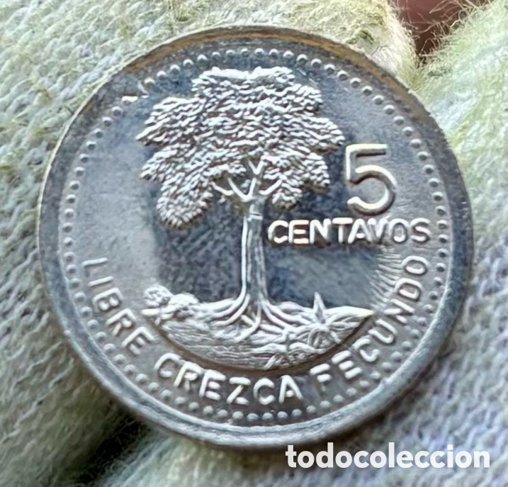 Monedas antiguas de Am&eacute;rica: Moneda GUATEMALA 5 Centavos 1995 SC - Foto 2