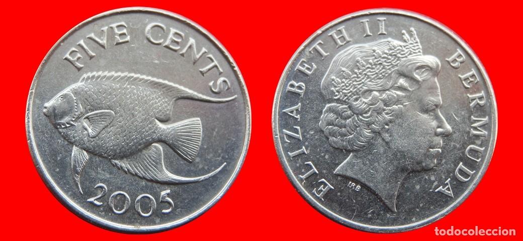 Monnaies anciennes d'Am&eacute;rique: 5 CENTAVOS 2005 BERMUDA-137611