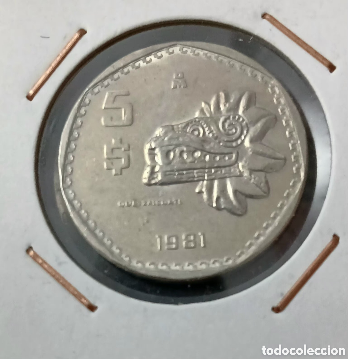 Monedas antiguas de Am&eacute;rica: 5pesos M&eacute;xico 1981 S/C - Foto 1