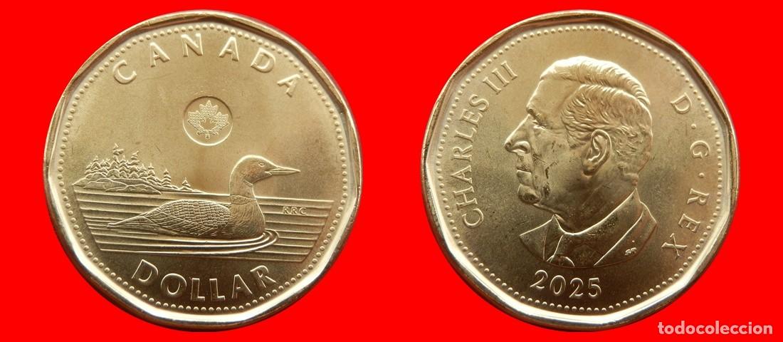 Monedas antiguas de Am&eacute;rica: 1 DOLAR 2025 SIN CIRCULAR CANADA-7842SC