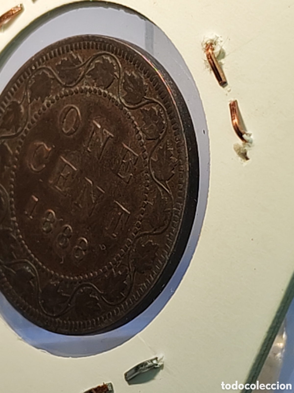Monedas antiguas de Am&eacute;rica: One cent. 1888. Canada. Cobre. - Foto 5