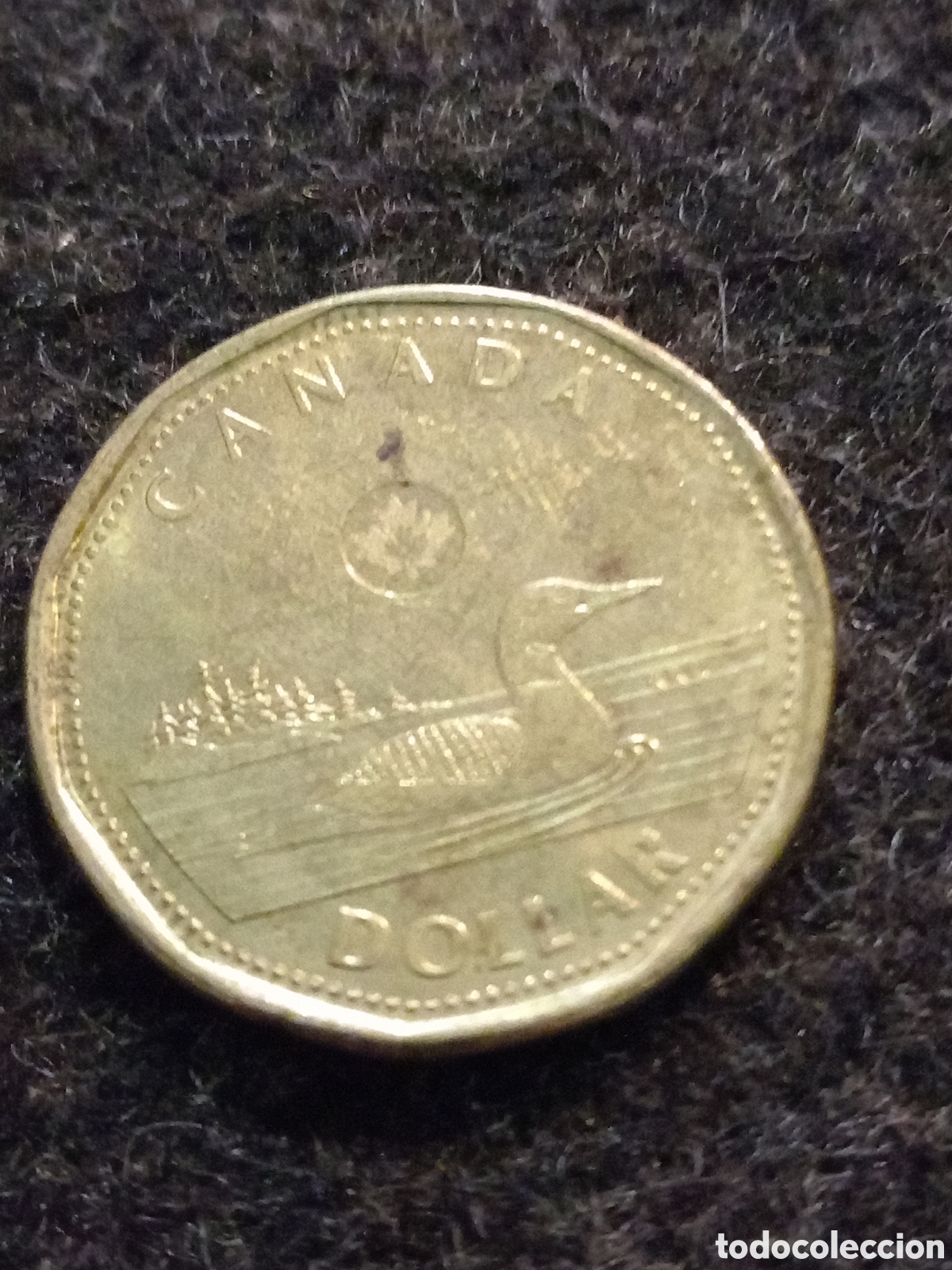 Monedas antiguas de Am&eacute;rica: Dos monedas 1 de Canad&aacute; y otra de EEUU - Foto 3