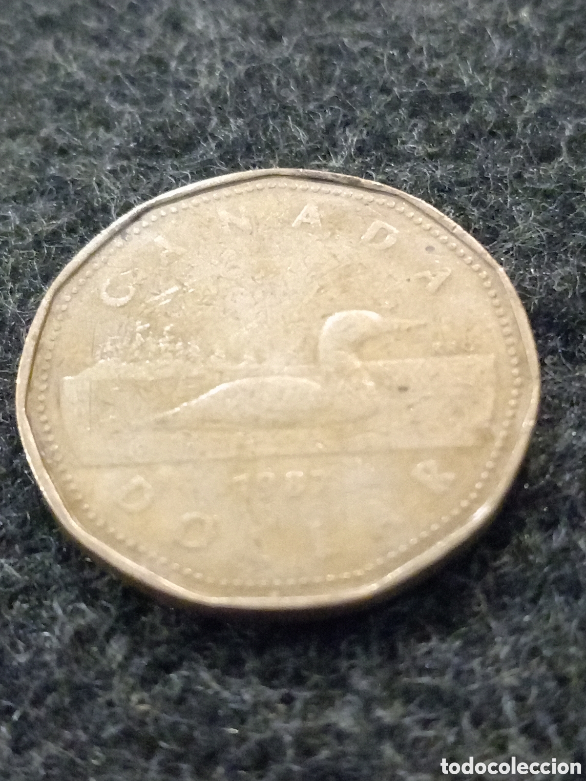 Monedas antiguas de Am&eacute;rica: 1Dolar de canada de1987 - Foto 3