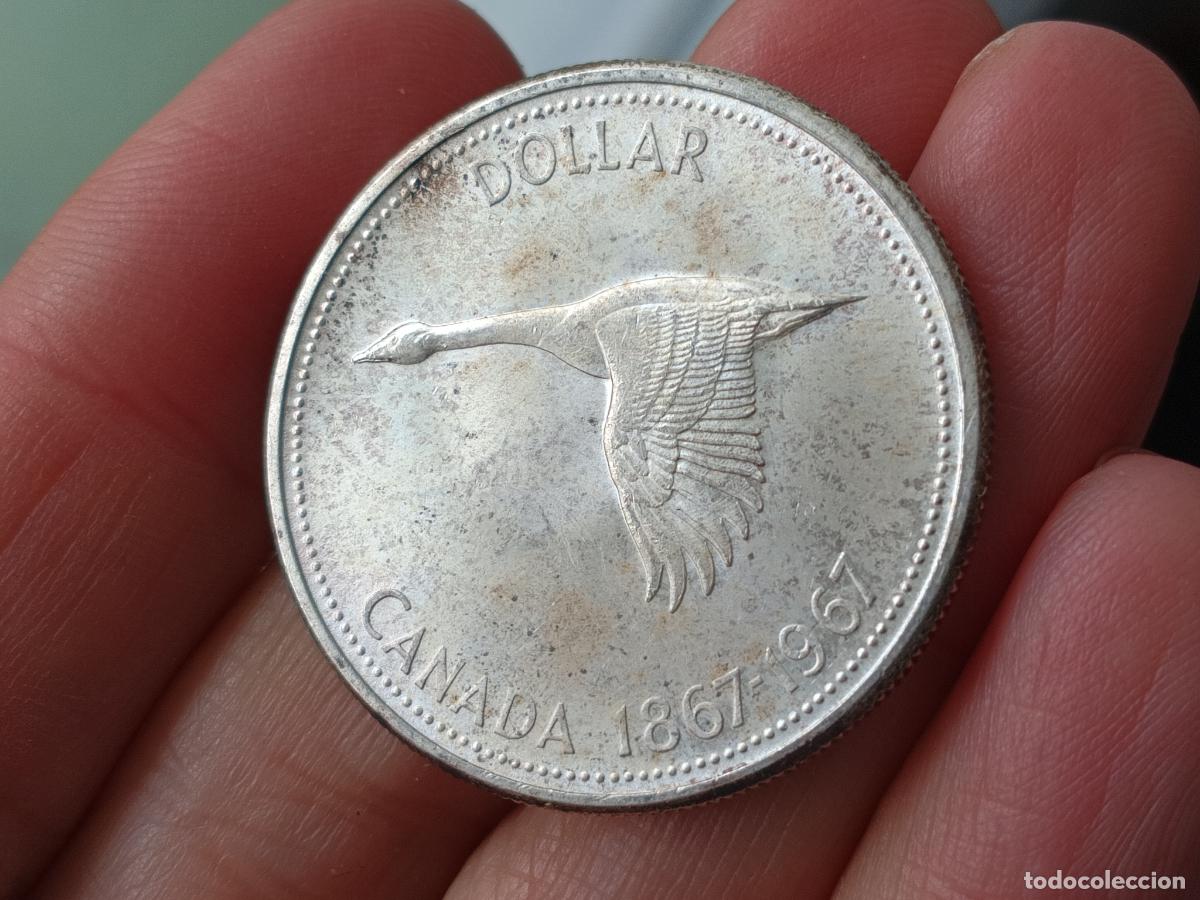Monedas antiguas de Am&eacute;rica: Canada, (One) 1 Dollar 1967 Plata - Foto 1