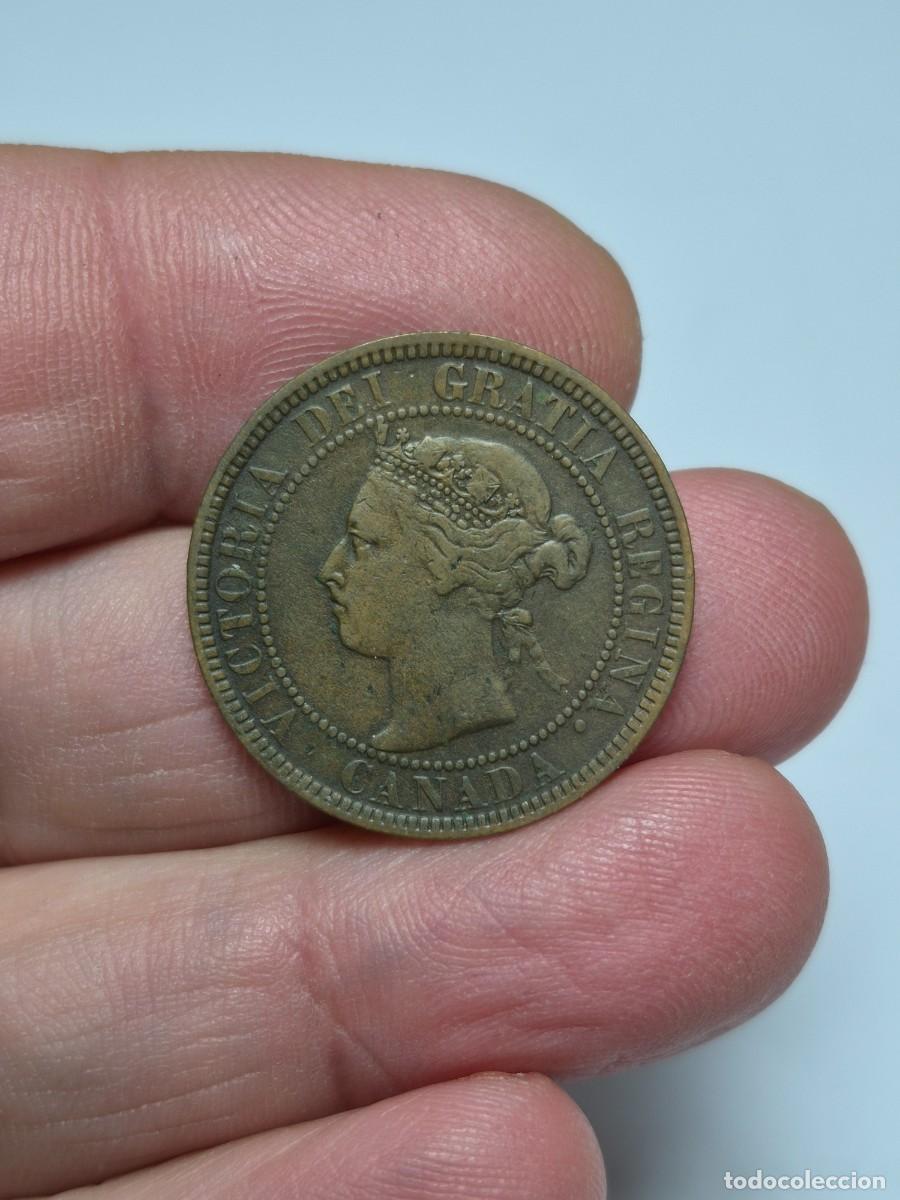 Monedas antiguas de Am&eacute;rica: NT / CANADA 1 CENTIMO 1901 (M1337) - Foto 1