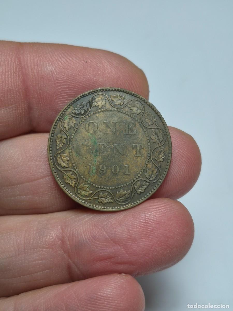 Monedas antiguas de Am&eacute;rica: NT / CANADA 1 CENTIMO 1901 (M1337) - Foto 2