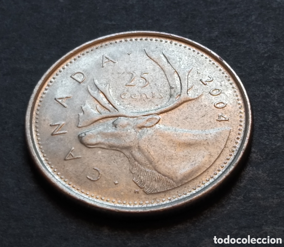 Monedas antiguas de Am&eacute;rica: MONEDA - CANADA 25 CENTS 2004 - Foto 3
