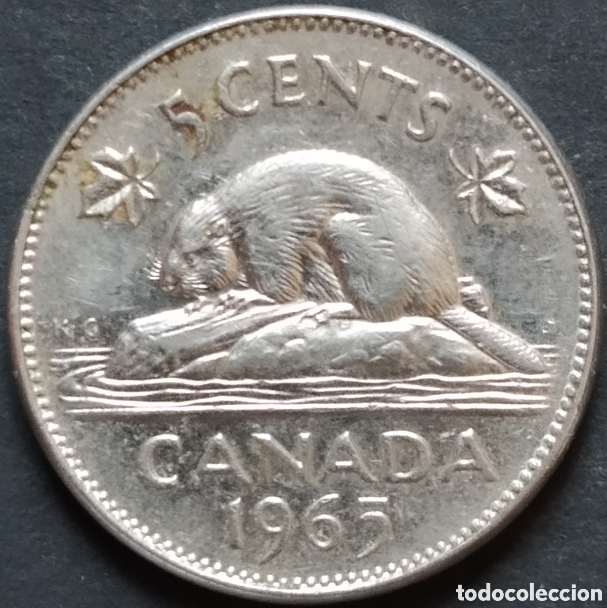 Monedas antiguas de Am&eacute;rica: MONEDA - CANADA 5 CENTS 1965