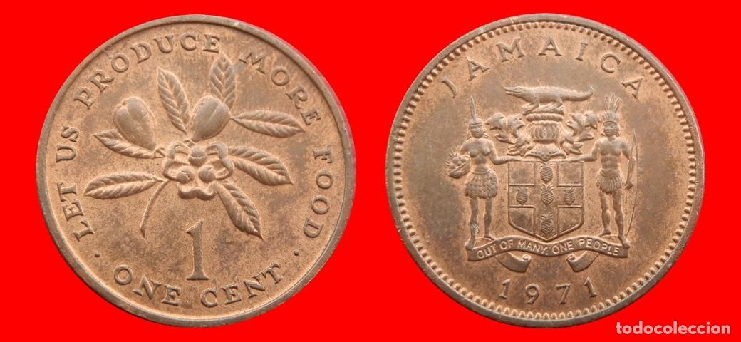 Monedas antiguas de Am&eacute;rica: 1 CENTAVO 1971 JAMAICA-143538
