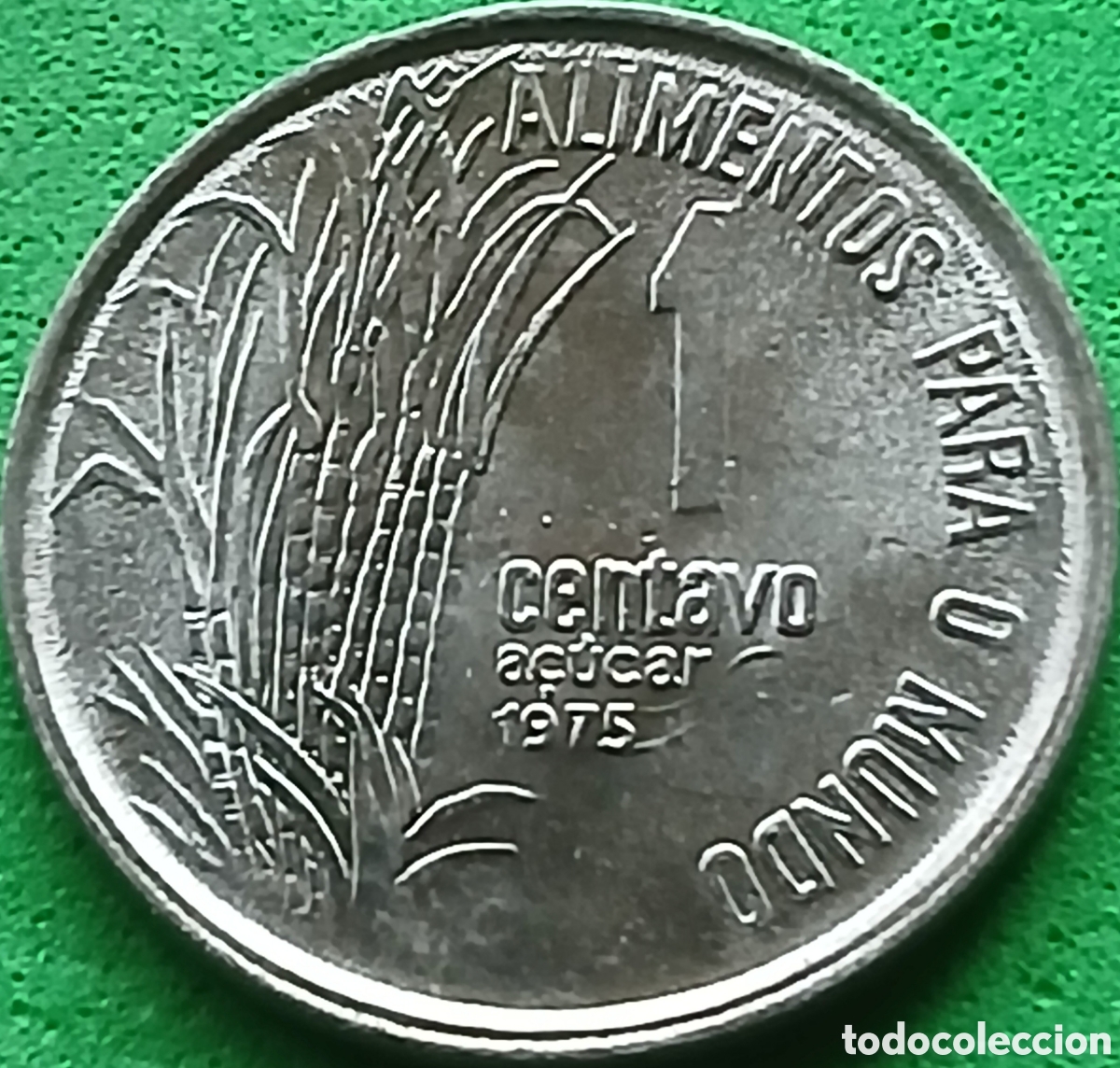 Monedas antiguas de Am&eacute;rica: Brasil 1 centavo 1975 km#585 Ca&ntilde;a de az&uacute;car FAO