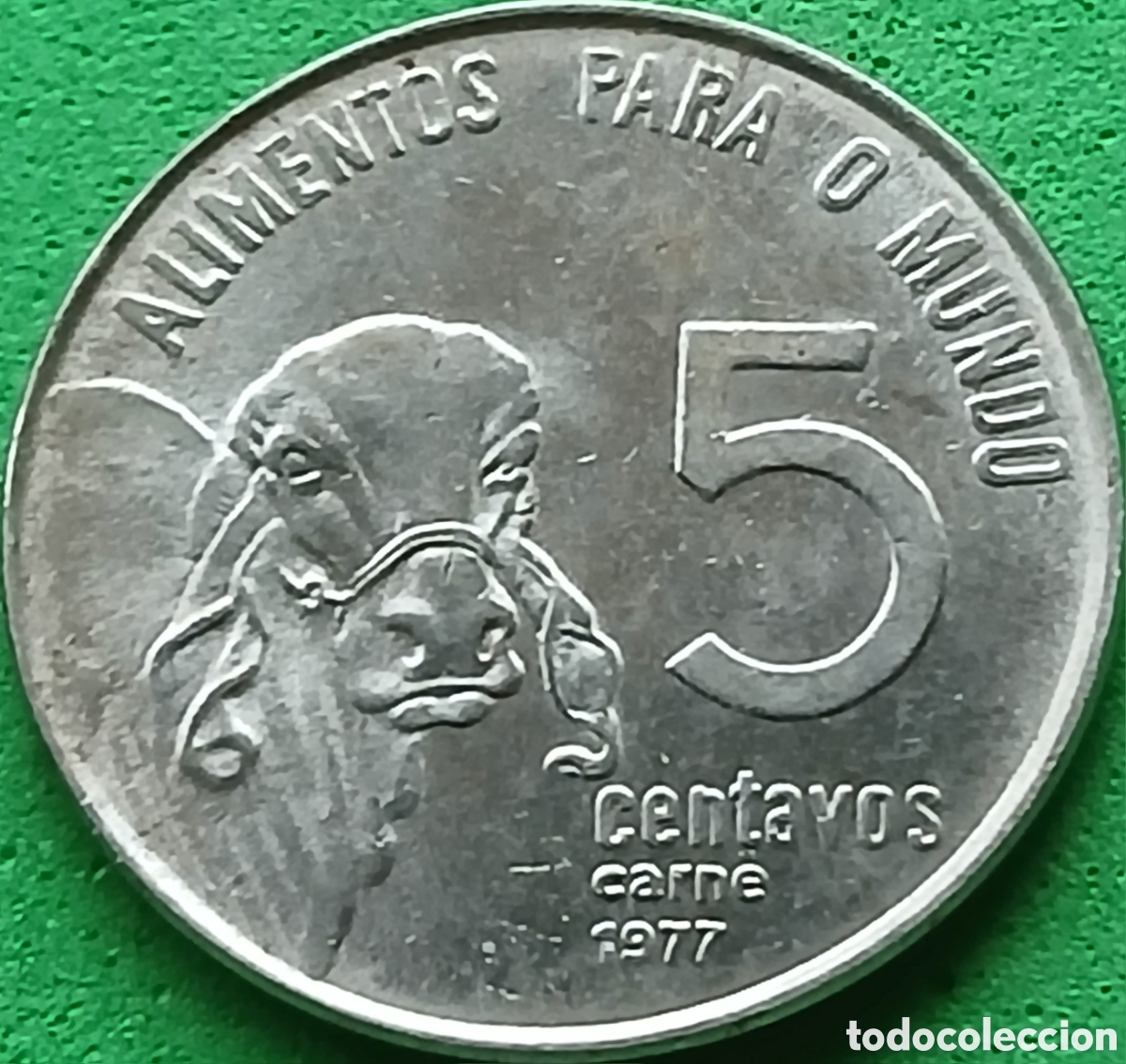 Monedas antiguas de Am&eacute;rica: Brasil 5 centavos 1977 km#587 Ceb&uacute; FAO, poco com&uacute;n, sin ondas de cabello
