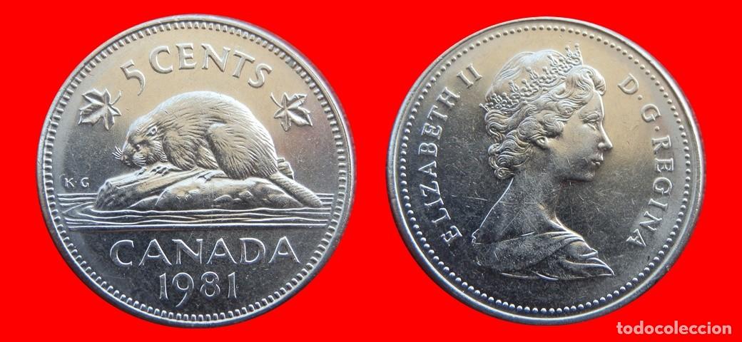Moedas antigas da Am&eacute;rica: 5 CENTAVOS 1981 CANADA-143631