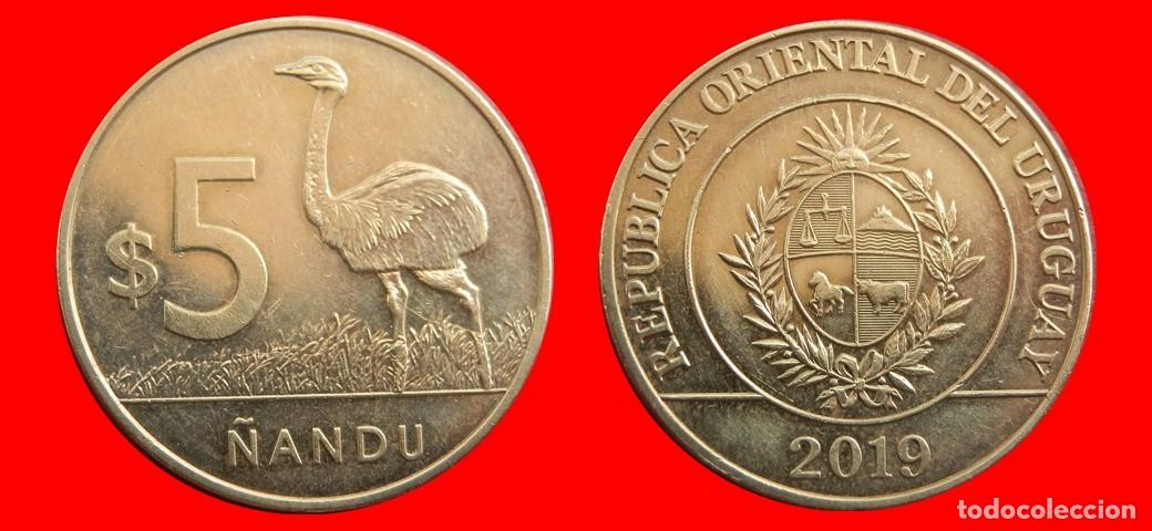 Monedas antiguas de Am&eacute;rica: 5 PESOS 2019 URUGUAY-143857