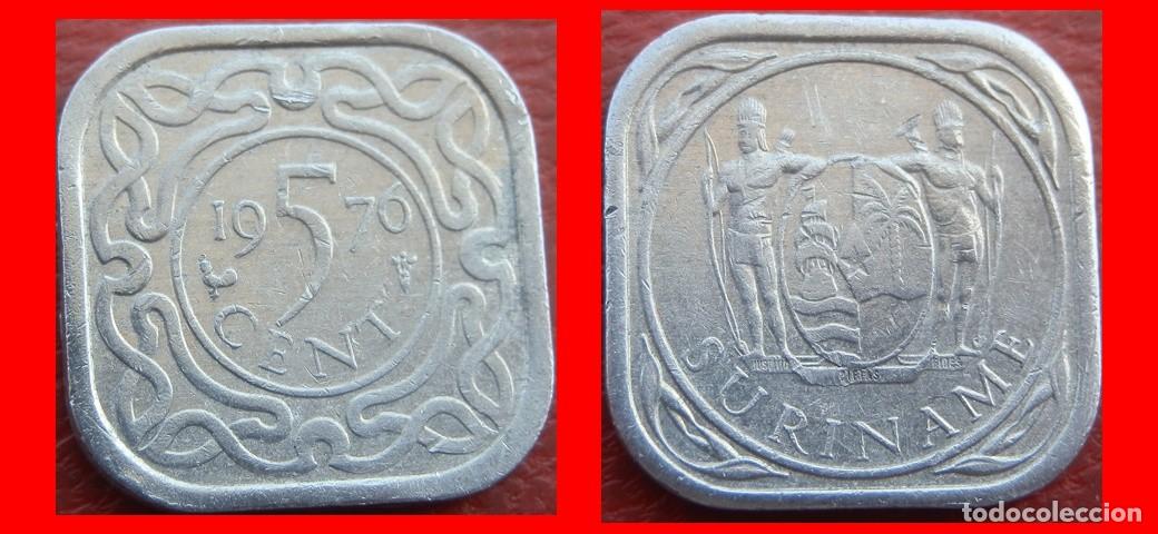 Monedas antiguas de Am&eacute;rica: 5 CENTAVOS 1976 SURINAM SURINAME-144089