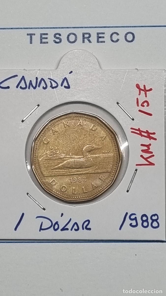 Monedas antiguas de Am&eacute;rica: CANAD&Aacute;: MONEDA DE 1 D&Oacute;LAR 1988 - KM#157 - Ref.: 060