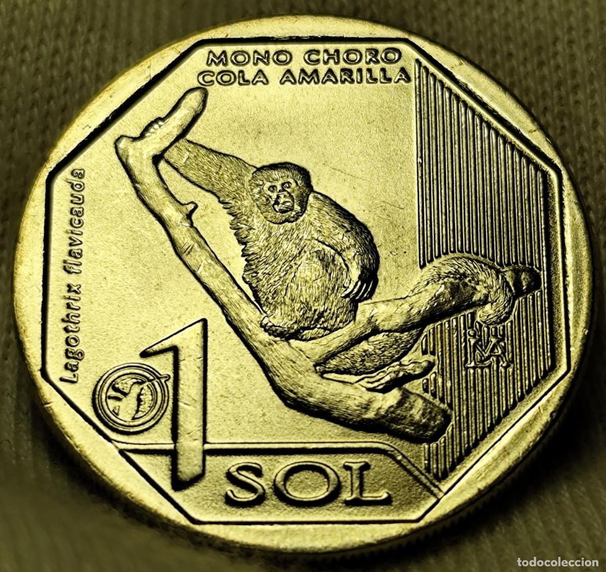 Alte M&uuml;nzen aus Amerika: Per&uacute; 1 Sol 2019 &ldquo;Mono Choro cola Amarilla&rdquo; Sin Circular Lote 1879