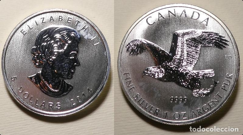 Monedas antiguas de Am&eacute;rica: Moneda de canada 5 dolares una onza 2014 AGUILA PESCADORA, 1 OZ plata 999