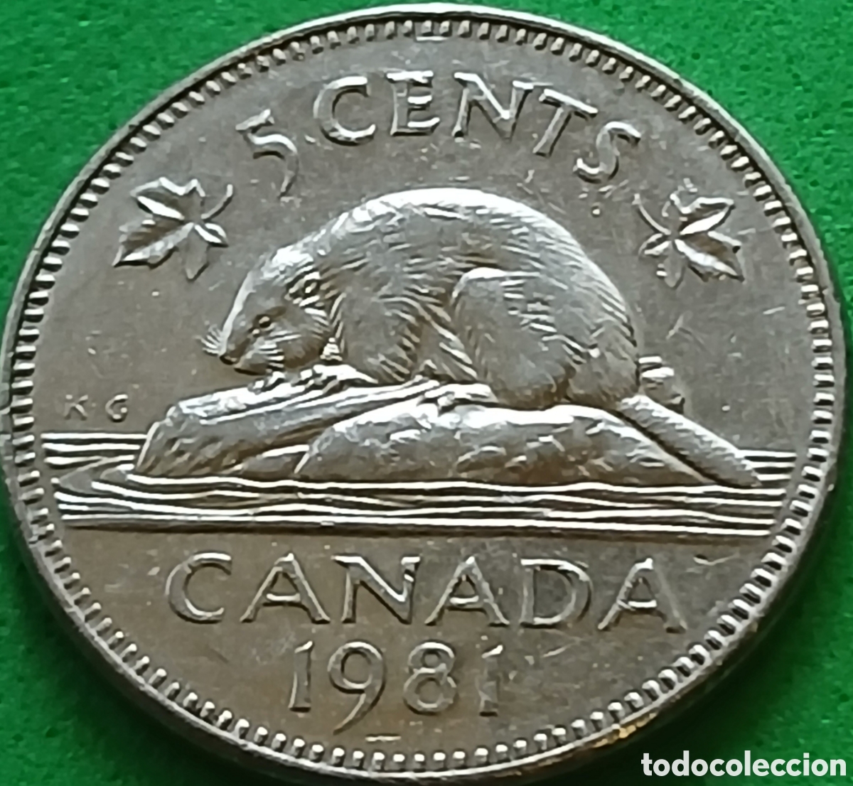 Monedas antiguas de Am&eacute;rica: Canad&aacute; 5 cents 1981 km#60.2