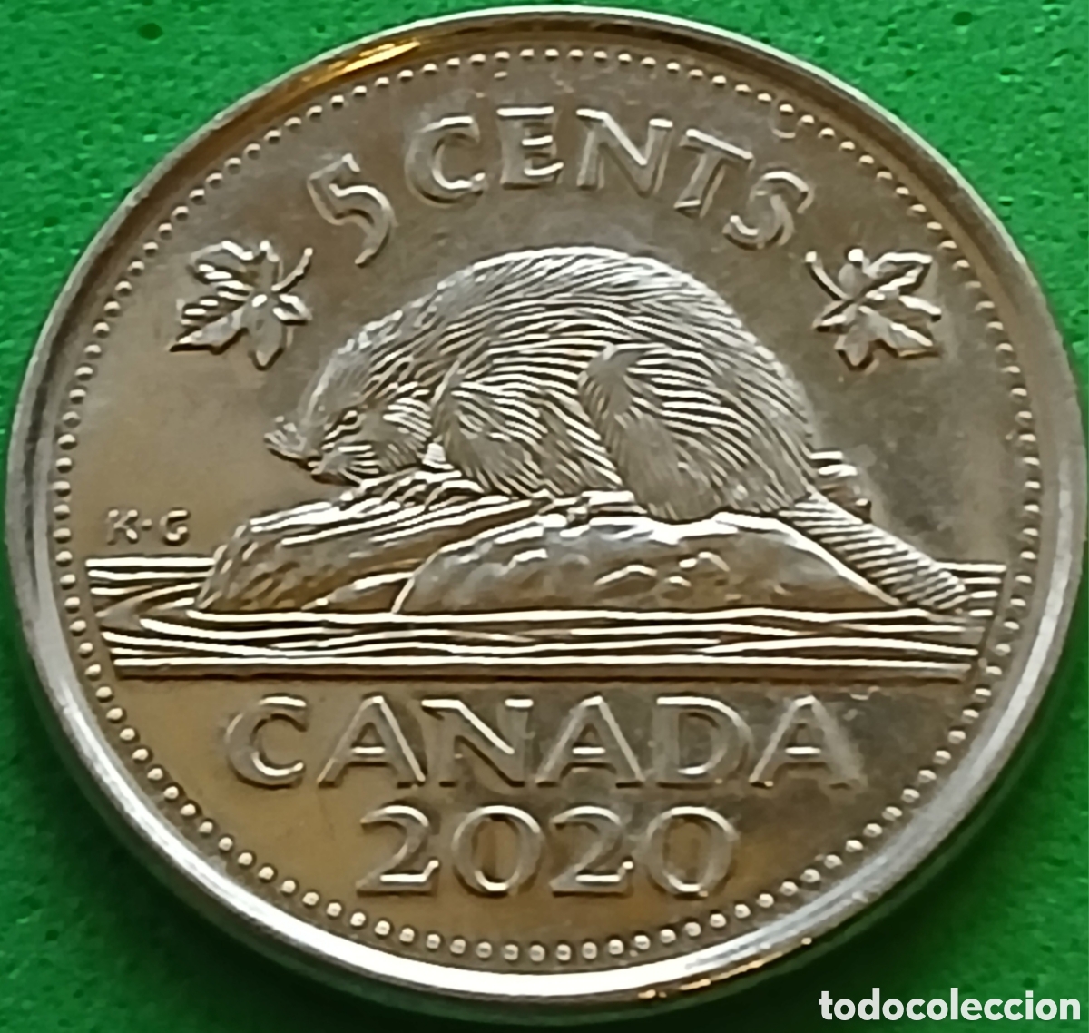 Monedas antiguas de Am&eacute;rica: Canad&aacute; 5 cents 2020 km#491 poco com&uacute;n