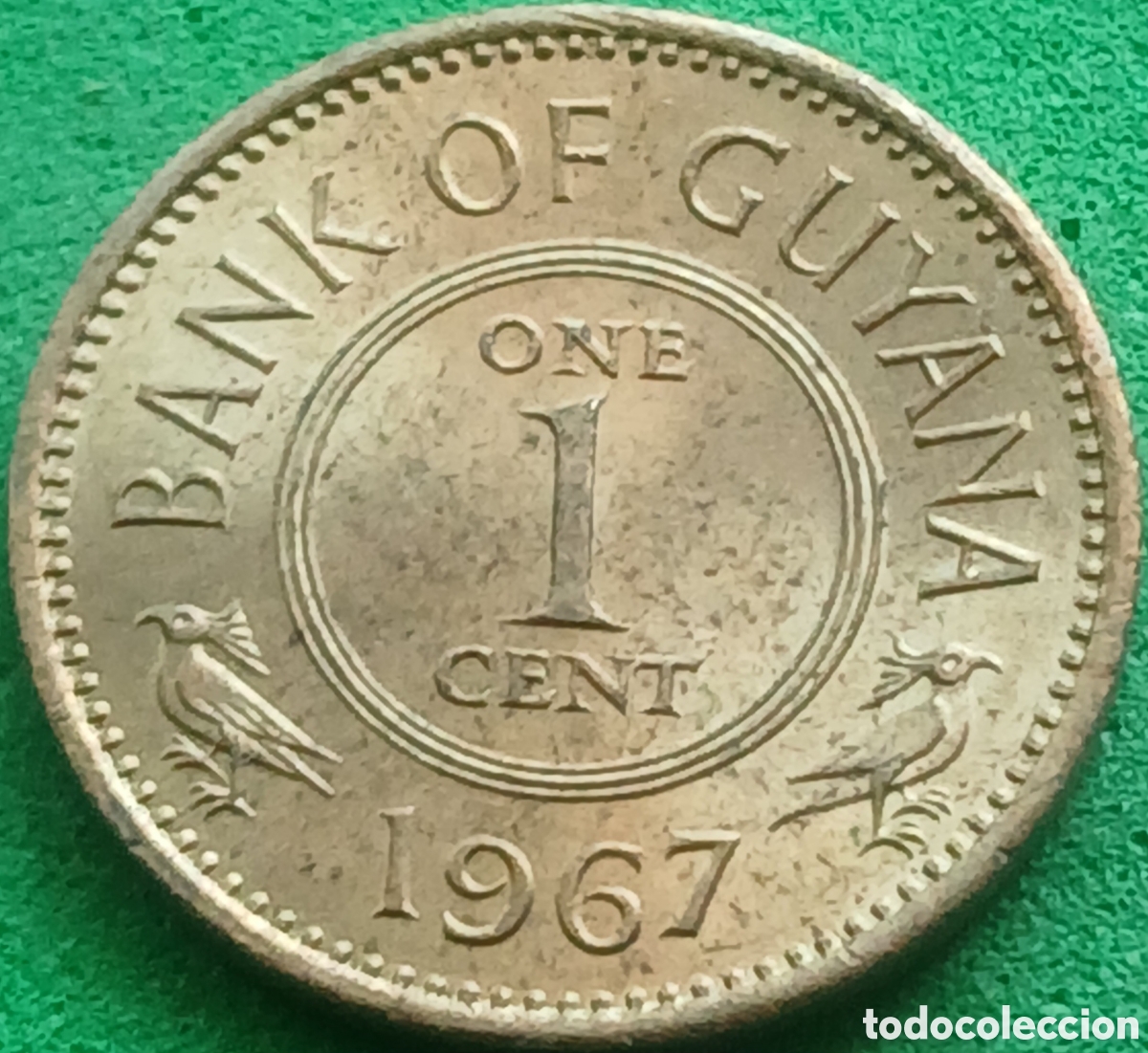 Monedas antiguas de Am&eacute;rica: Guyana 1 cent 1967 km#31
