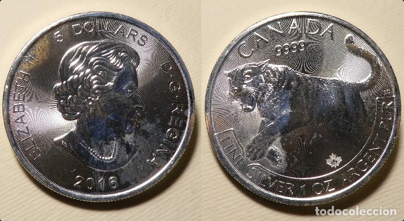 Monedas antiguas de Am&eacute;rica: Moneda de canada 5 dolares una onza 2016 Puma , 1 OZ plata 999