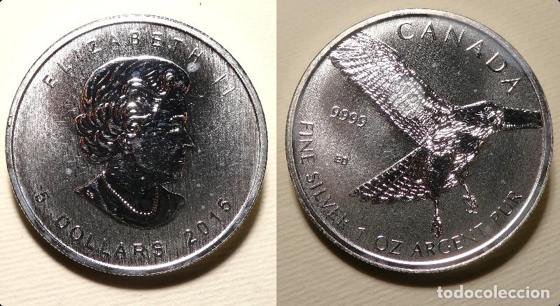 Monedas antiguas de Am&eacute;rica: Moneda de canada 5 dolares una onza 2015 Halc&oacute;n de Cola Roja , 1 OZ plata 999