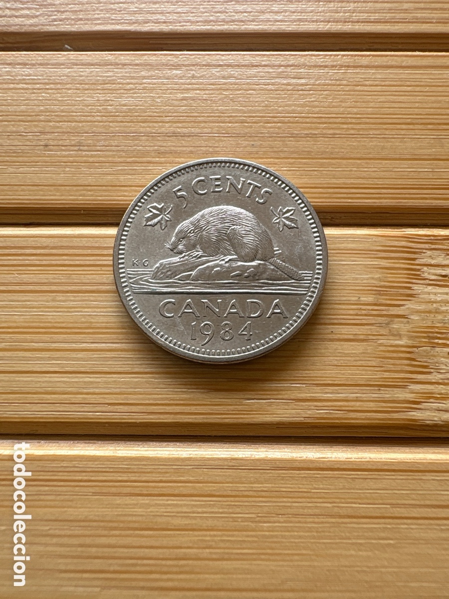 Monedas antiguas de Am&eacute;rica: Moneda 5 CENTAVOS 1984 CANADA. ASM - Foto 1