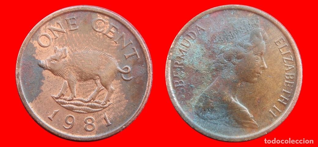 Monedas antiguas de Am&eacute;rica: 1 CENTAVO 1981 BERMUDA-144627