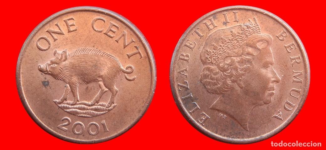 Monedas antiguas de Am&eacute;rica: 1 CENTAVO 2001 BERMUDA-144628