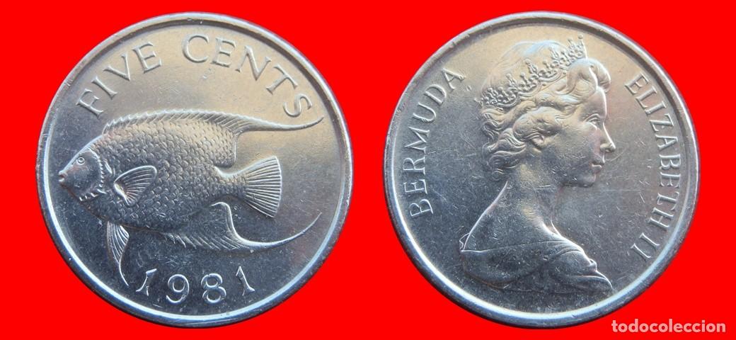 Monedas antiguas de Am&eacute;rica: 5 CENTAVOS 1981 BERMUDA-144629