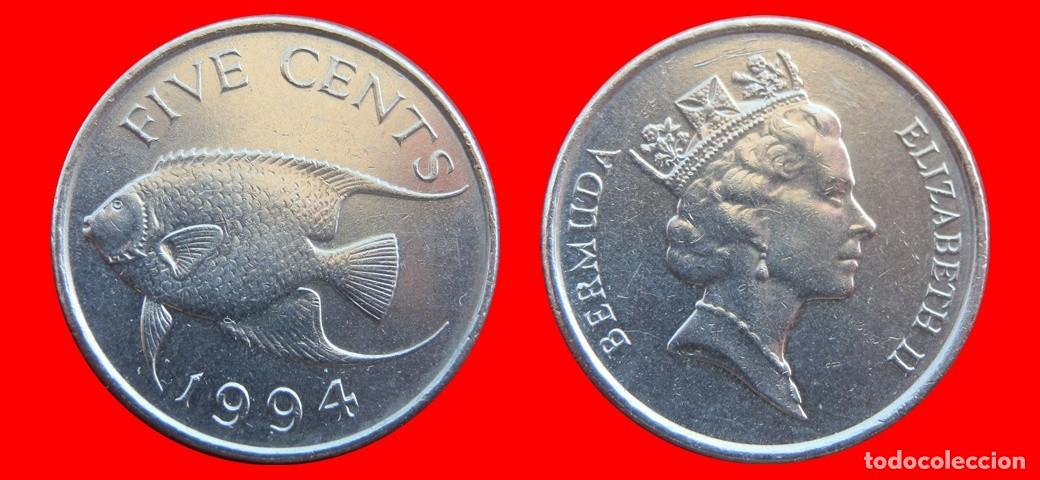 Monedas antiguas de Am&eacute;rica: 5 CENTAVOS 1994 BERMUDA-144630 - Foto 1