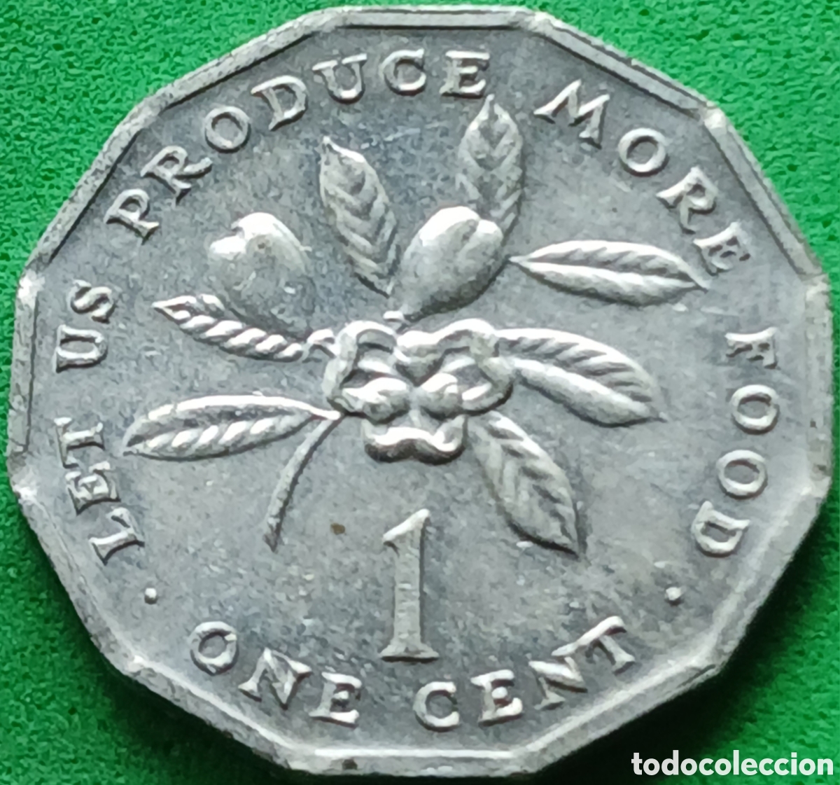 Monedas antiguas de Am&eacute;rica: Jamaica one cent 1980 km#64 sin ceca/ poco com&uacute;n