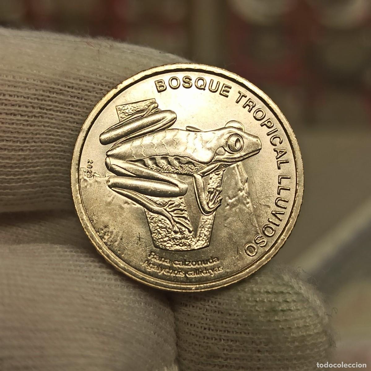 Monedas antiguas de Am&eacute;rica: Costa Rica 50 Colones Conmemorativa Rana 2023 Km Nuevo Sc Unc