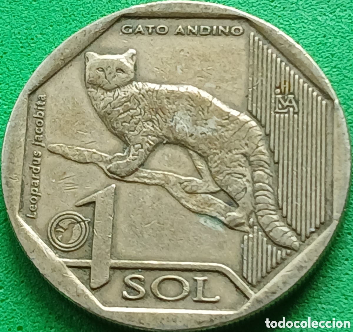 Monedas antiguas de Am&eacute;rica: Per&uacute; 1 sol 2019 UC#111 Gato andino