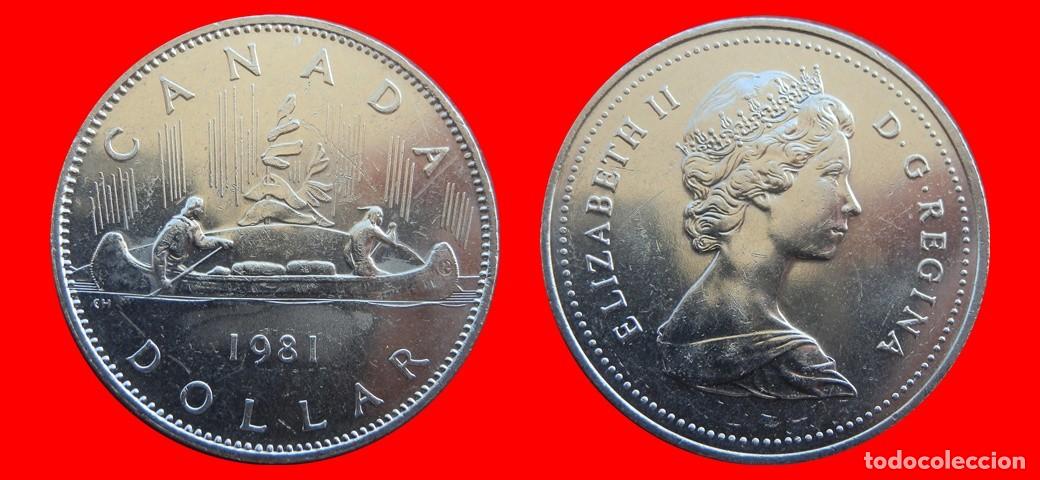 Monedas antiguas de Am&eacute;rica: 1 DOLAR 1981 CANADA-144787