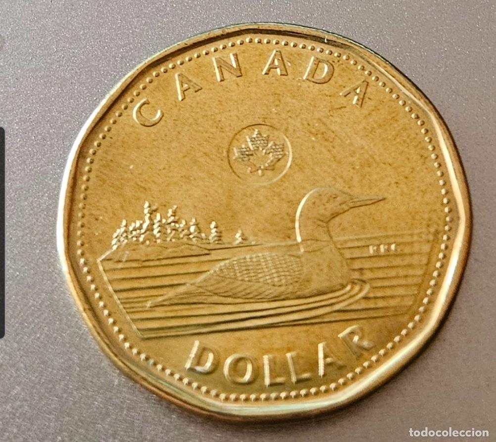 Monedas antiguas de Am&eacute;rica: MONEDA 1 DOLAR CANADA 2025