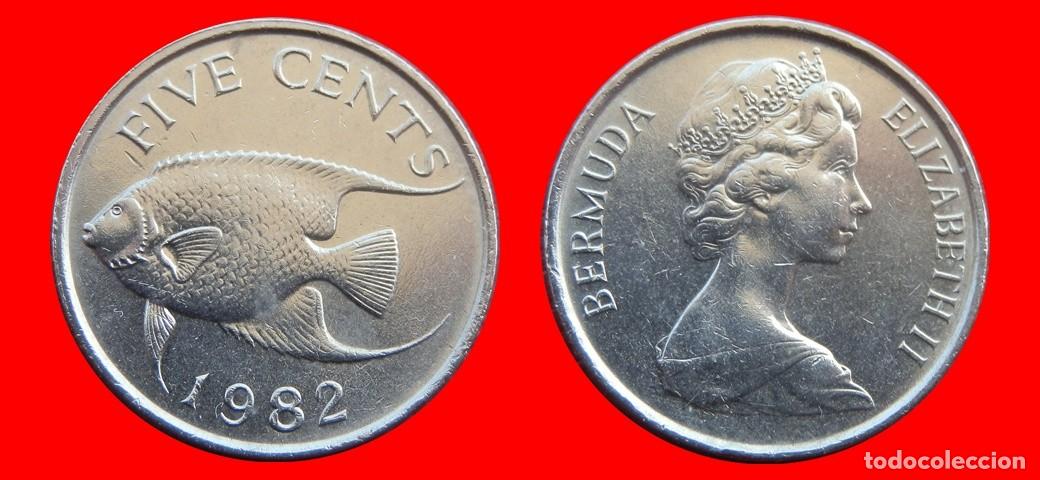 Monedas antiguas de Am&eacute;rica: 5 CENTAVOS 1982 BERMUDA-150019