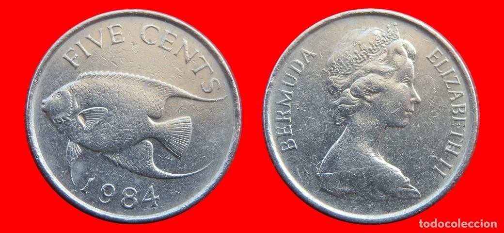 Monedas antiguas de Am&eacute;rica: 5 CENTAVOS 1984 BERMUDA-150020