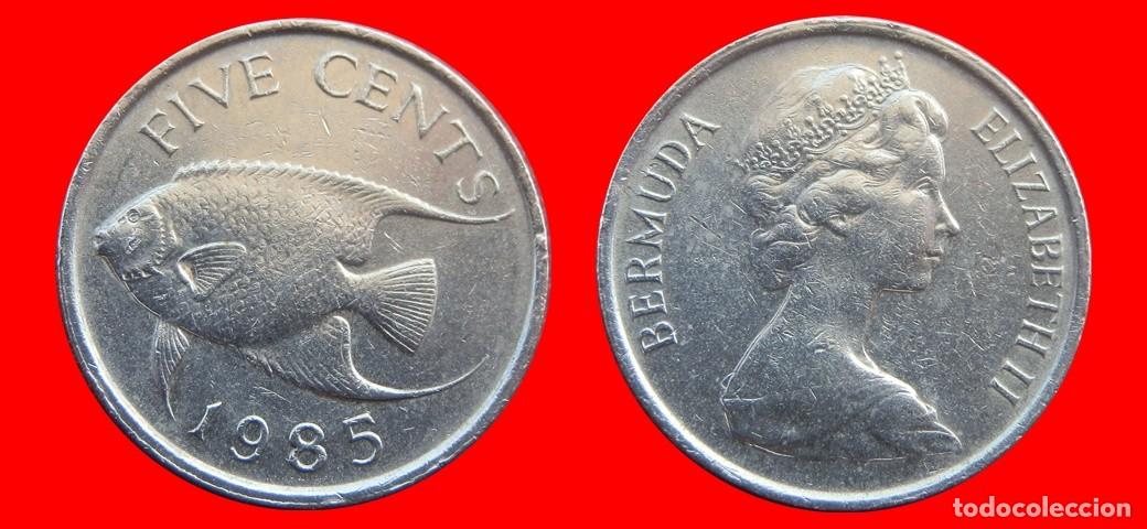 Monedas antiguas de Am&eacute;rica: 5 CENTAVOS 1985 BERMUDA-150021