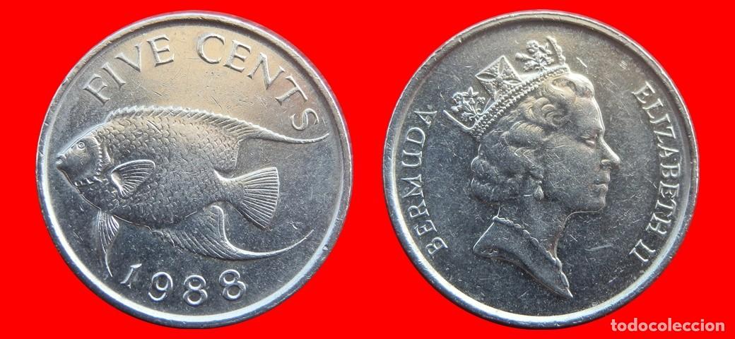 Monedas antiguas de Am&eacute;rica: 5 CENTAVOS 1988 BERMUDA-150022