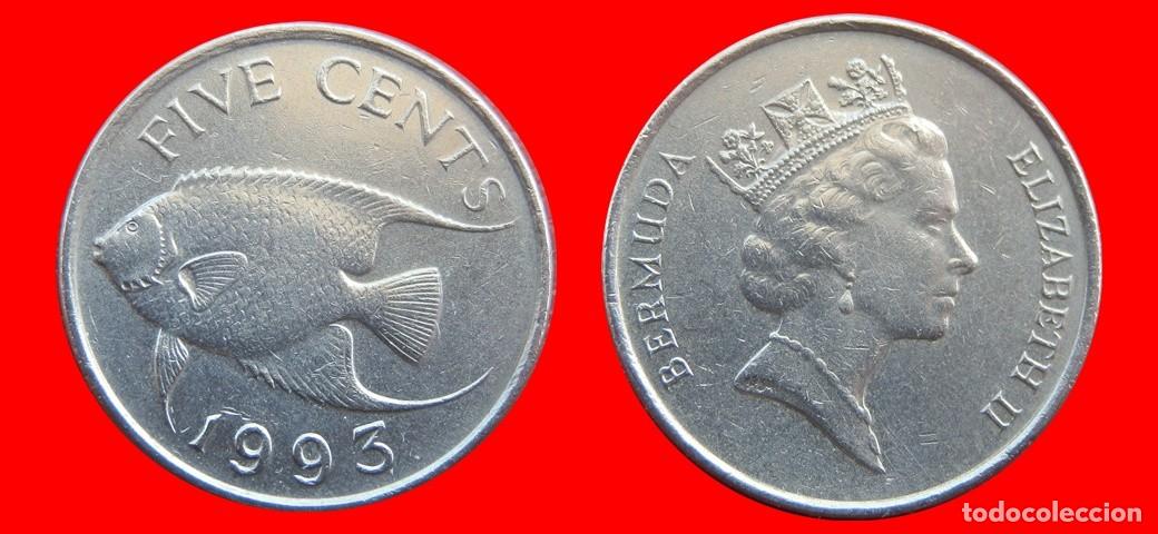 Monedas antiguas de Am&eacute;rica: 5 CENTAVOS 1993 BERMUDA-150024