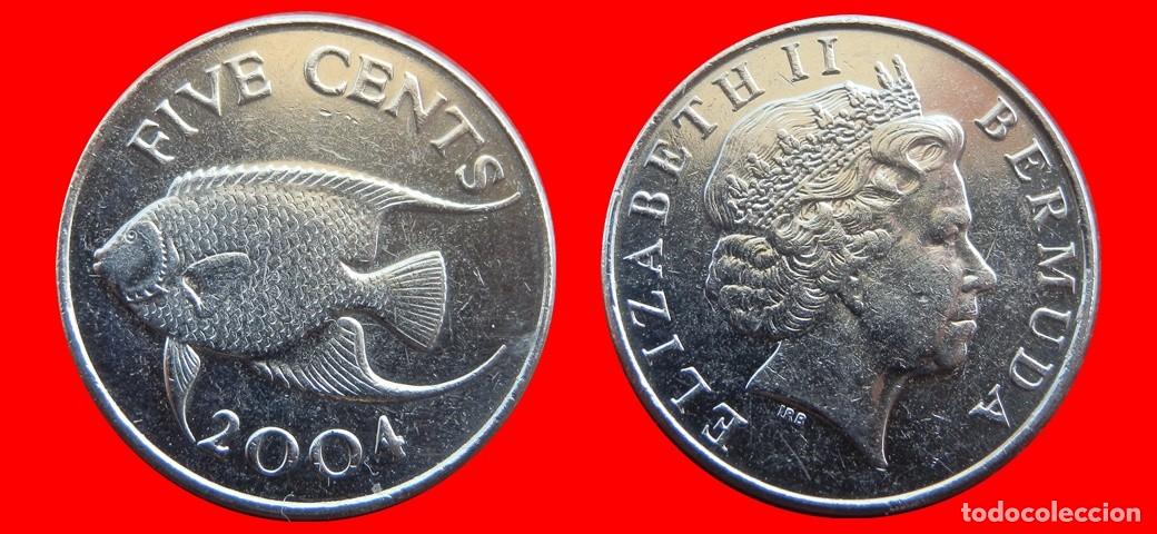 Monedas antiguas de Am&eacute;rica: 5 CENTAVOS 2004 BERMUDA-150027