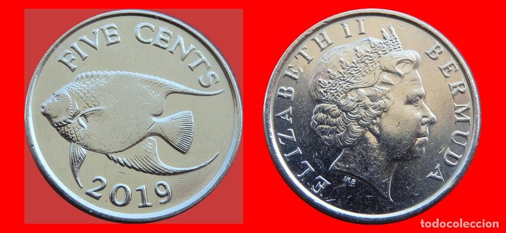 Monedas antiguas de Am&eacute;rica: 5 CENTAVOS 2019 BERMUDA-150028