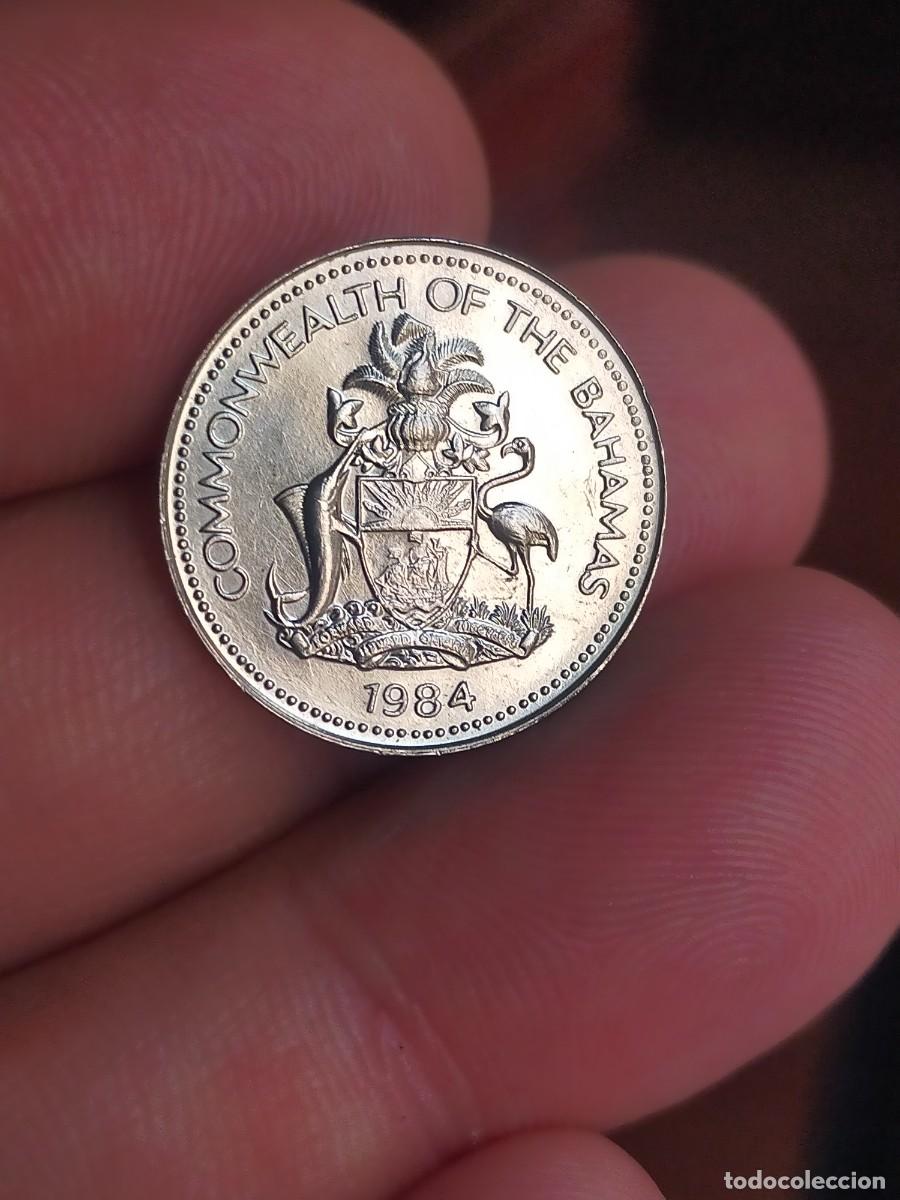 Monedas antiguas de Am&eacute;rica: MONEDA DE 5 CINCO CENTS CENTAVOS CENTIMOS ISLAS BAHAMAS 1984 EXCELENTE CONSERVACION